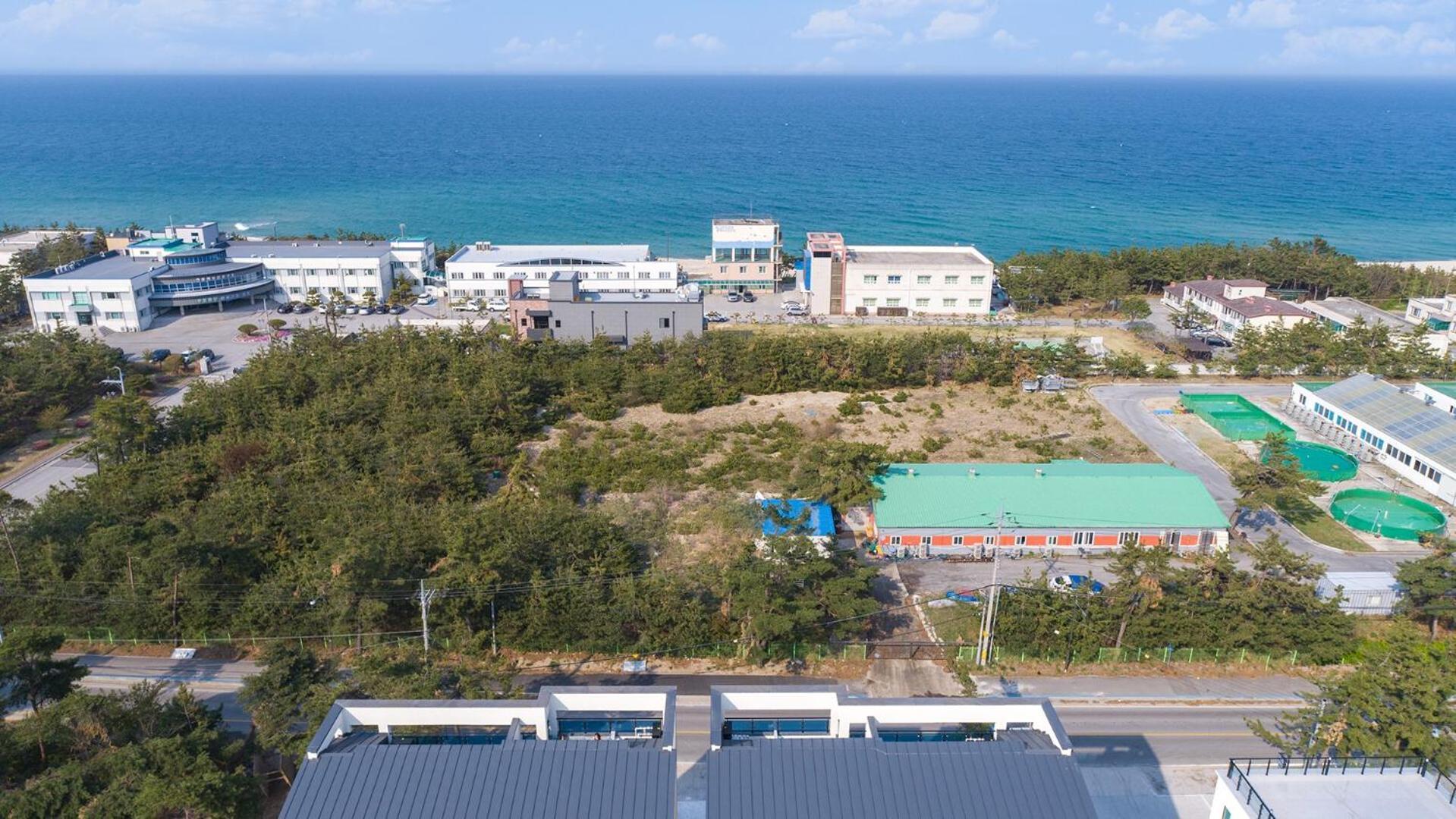 Gangneung Joeungot Poolvilla Luaran gambar